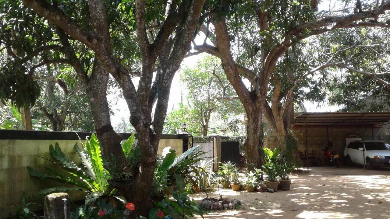 אנוראדפורה Water Front Home Stay And Resort מראה חיצוני תמונה